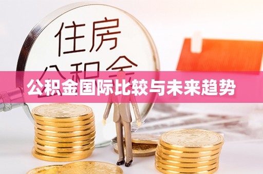 顺庆公积金国际比较与未来趋势