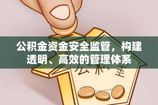 顺庆公积金资金安全监管，构建透明、高效的管理体系