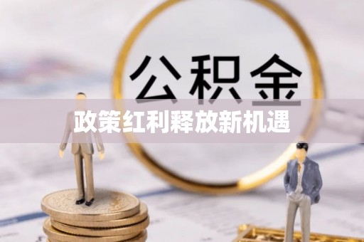 顺庆政策红利释放新机遇