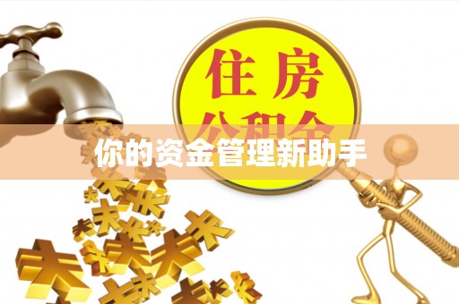 顺庆你的资金管理新助手