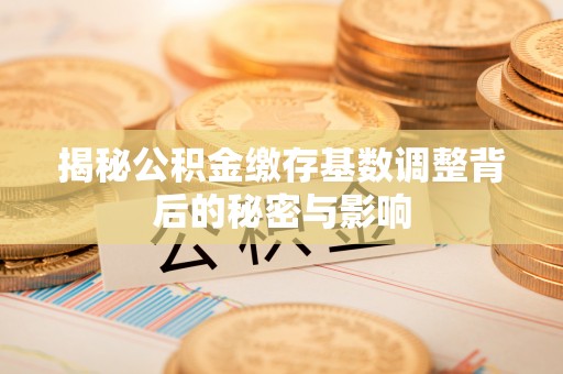 顺庆揭秘公积金缴存基数调整背后的秘密与影响