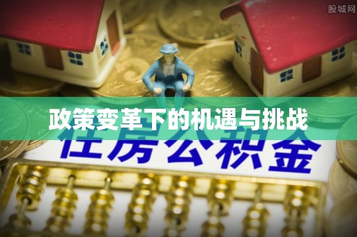 顺庆政策变革下的机遇与挑战