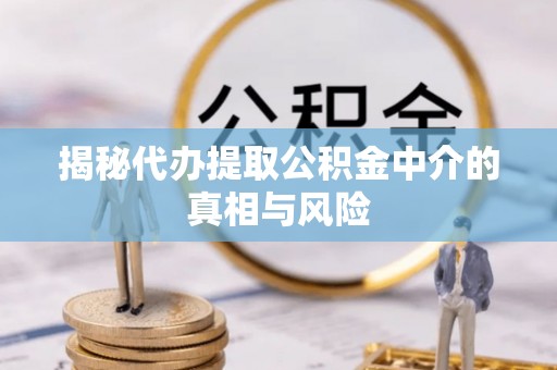 顺庆揭秘代办提取公积金中介的真相与风险