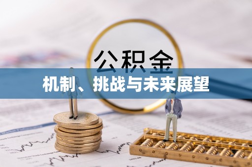 顺庆机制、挑战与未来展望