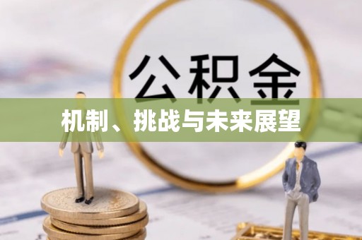 顺庆机制、挑战与未来展望