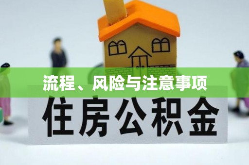 顺庆流程、风险与注意事项