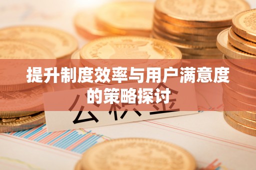 顺庆提升制度效率与用户满意度的策略探讨
